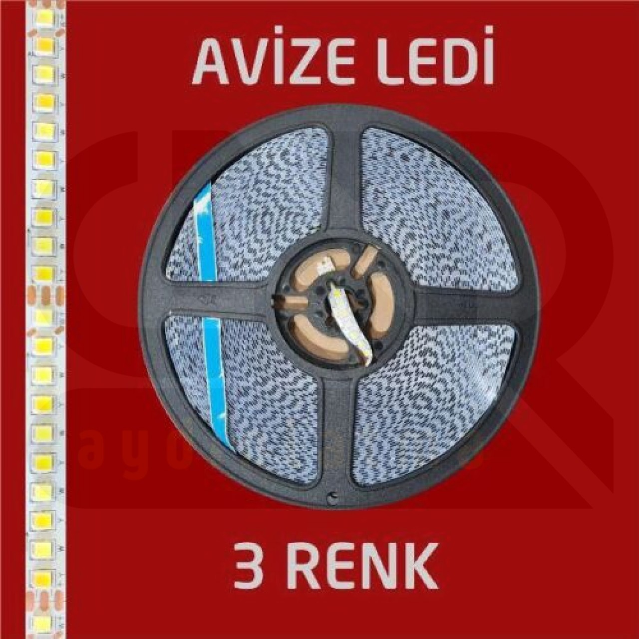 Avize Ledi