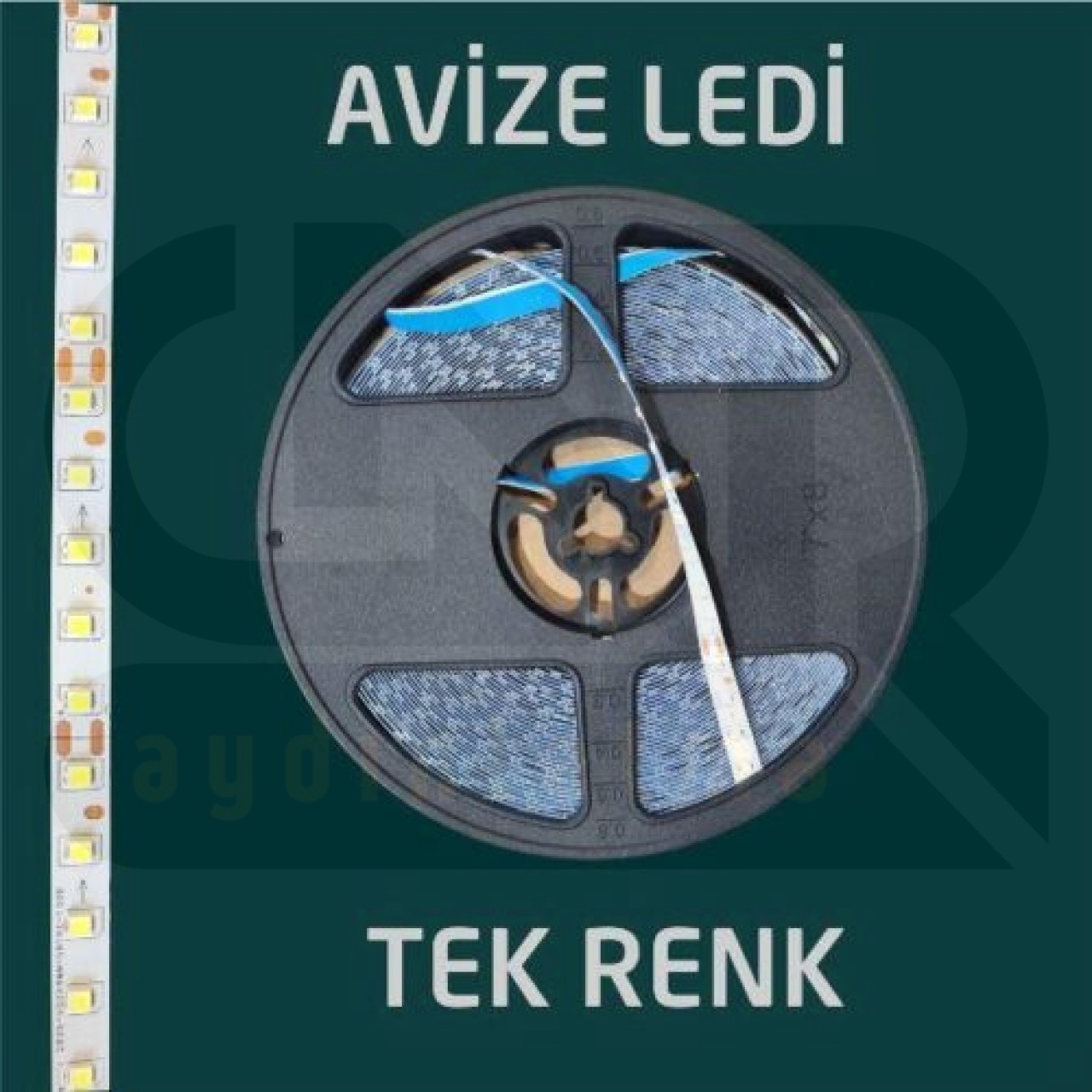 Avize Ledi